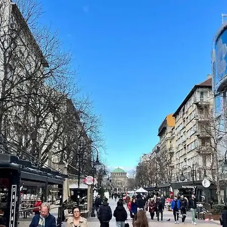 Vitosha Blvd Spacious And Quiet Apartamento
